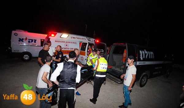 3aregmontreeh520 (29).jpg